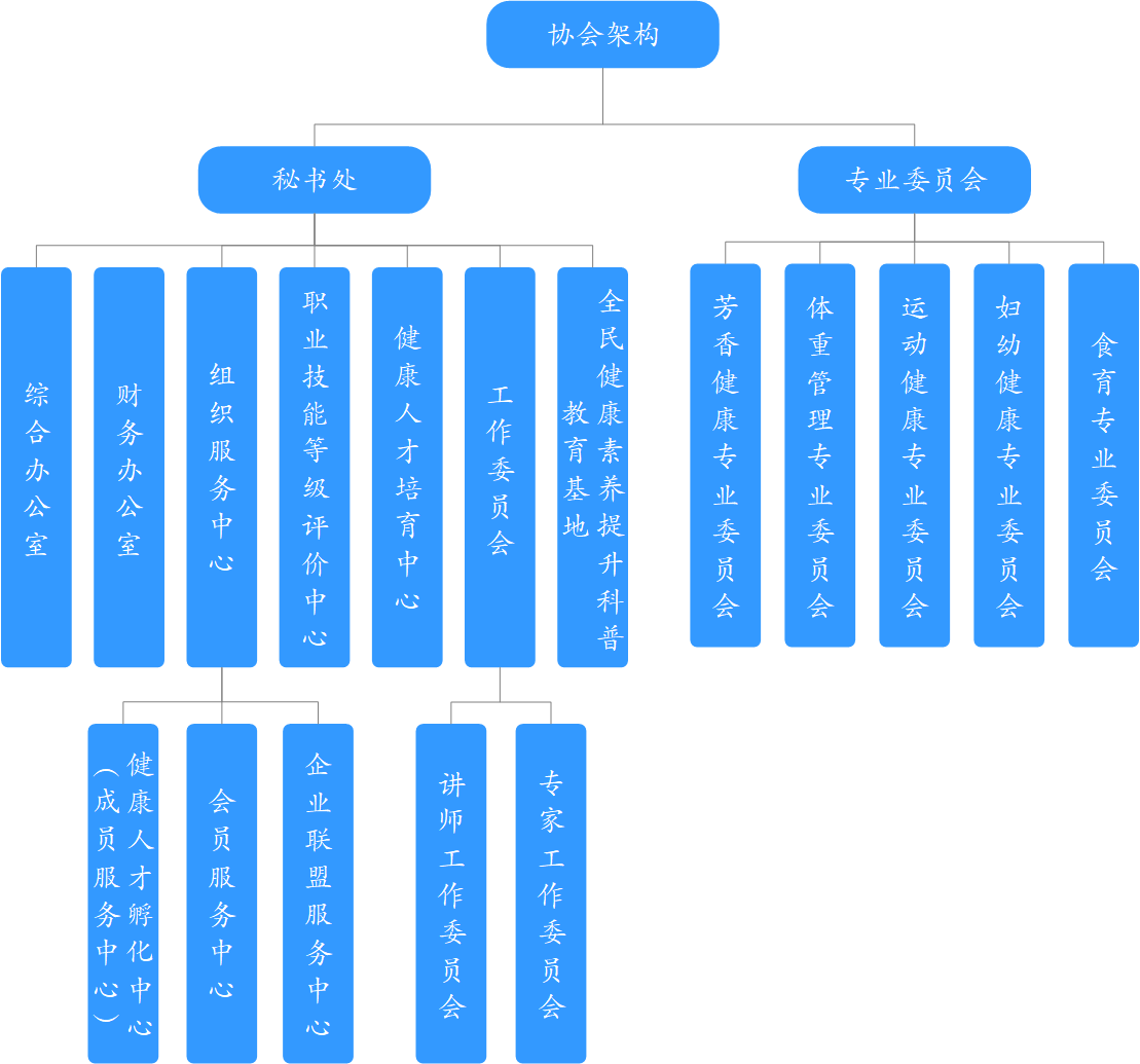 协会架构